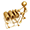 Domain Name Registration